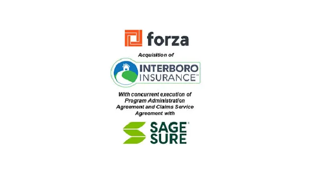 forza forza