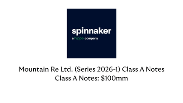 spinnaker spinnaker
